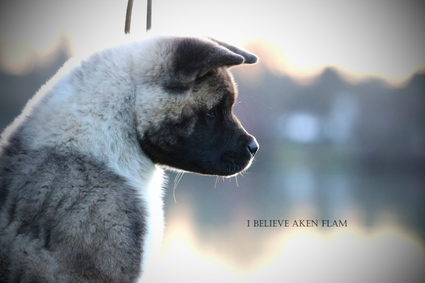 Agatha I Believe Aken Flam