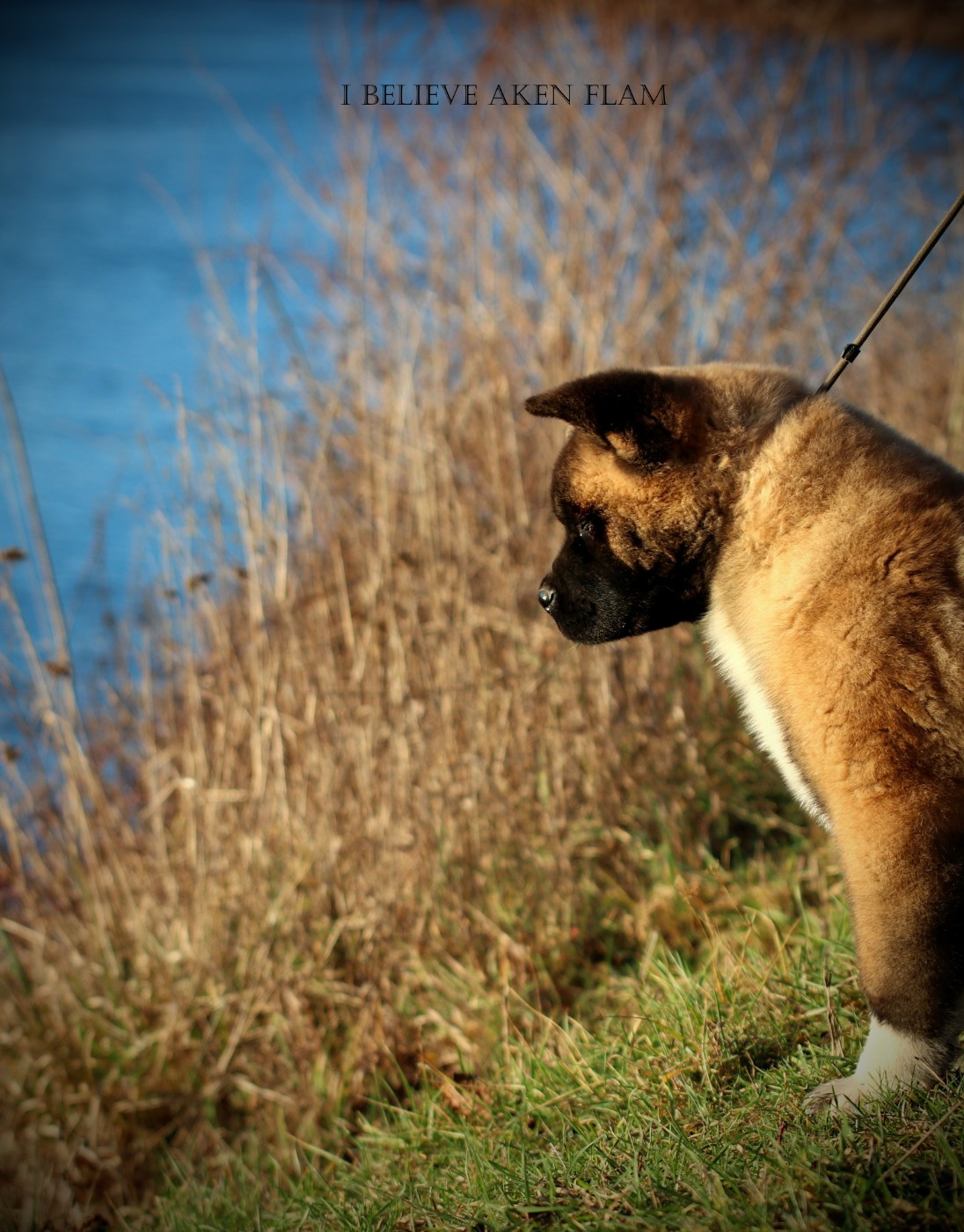 Anibal  I Believe Aken Flam