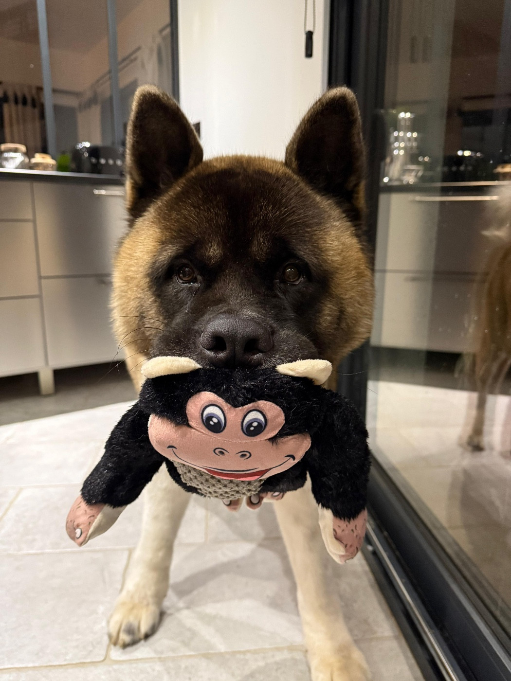 Unexpected Rolex Oyster I Believe Aken Flam